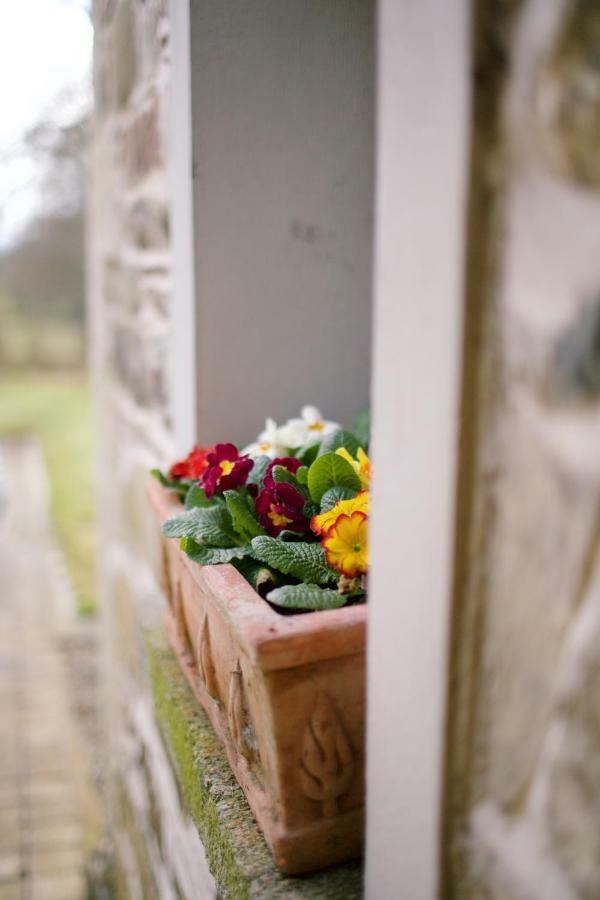 Scion Hill Gate Lodge Hillsborough Exterior foto